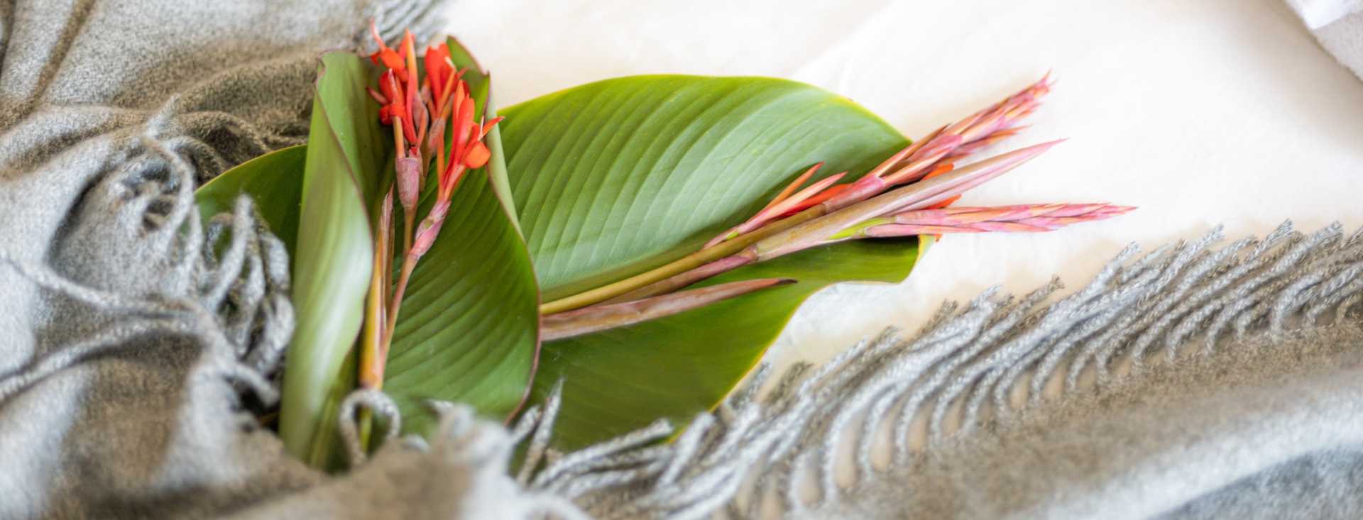 banner - Reservas
